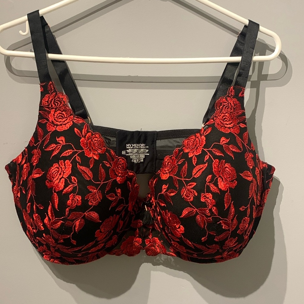 La Vie En Rose Black Bra with Red Floral Embroidery